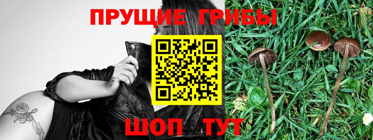 Галлюциногенные грибы мицелий Лыткарино