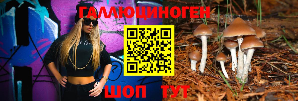 Псилоцибиновые грибы Psilocybe  Псилоцибиновые грибы MAGIC MUSHROOMS  Лыткарино  Вход с VPN 