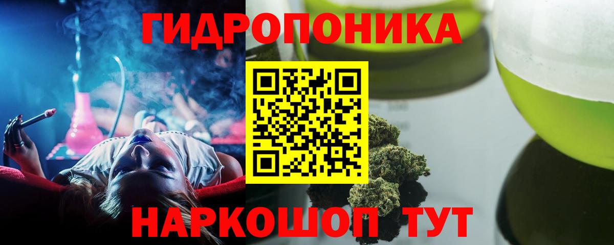 Шишки марихуана планчик  Вход с VPN  Каннабис план  Лыткарино  Каннабис индика 
